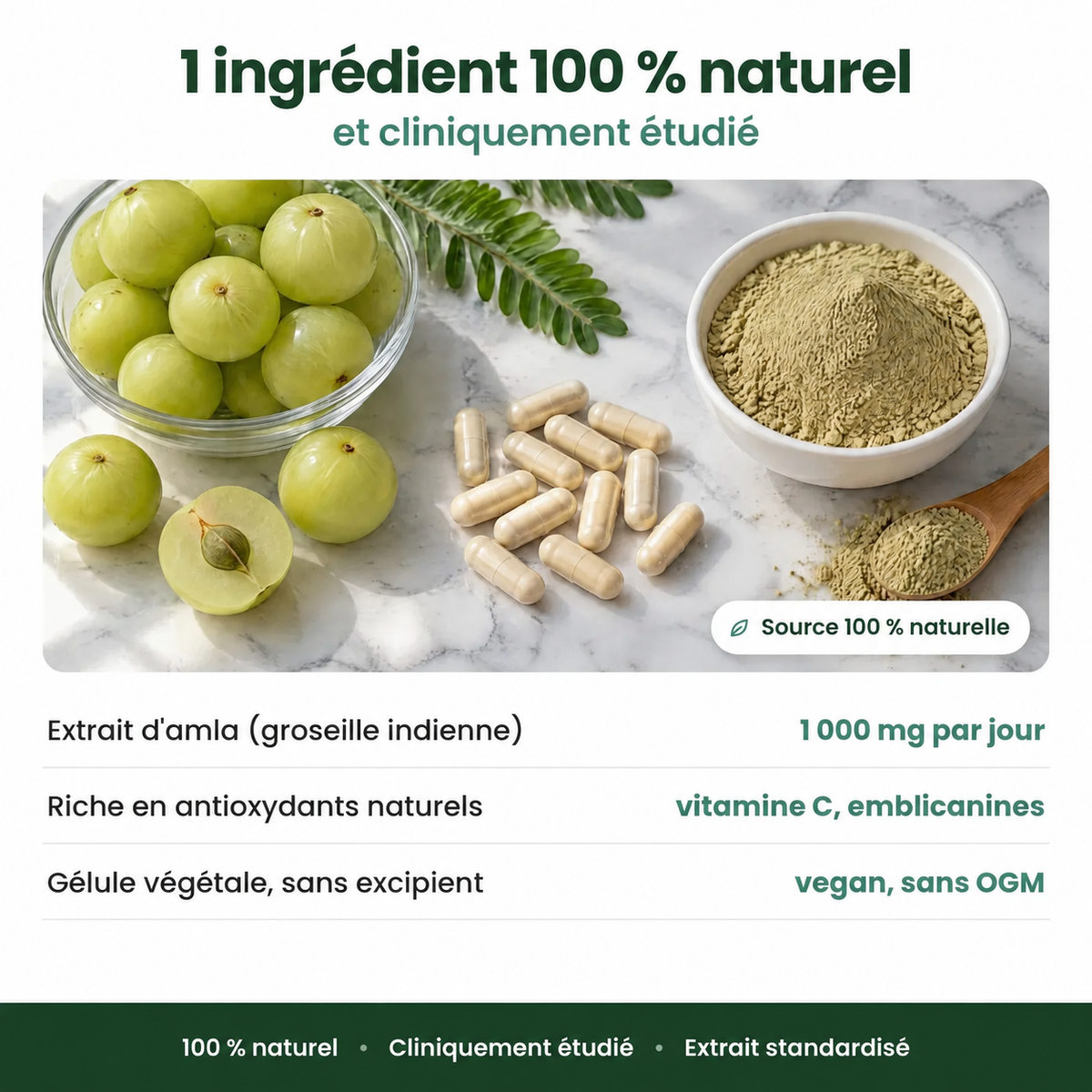 Gélules d'Amla Superfruit