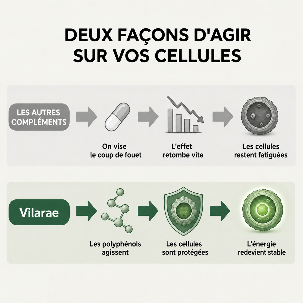 Gélules d'Amla Superfruit