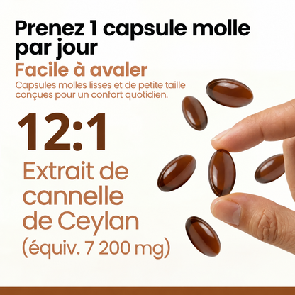 Vilarae – Cannelle de Ceylan 7 200 mg (équivalent) avec huile MCT