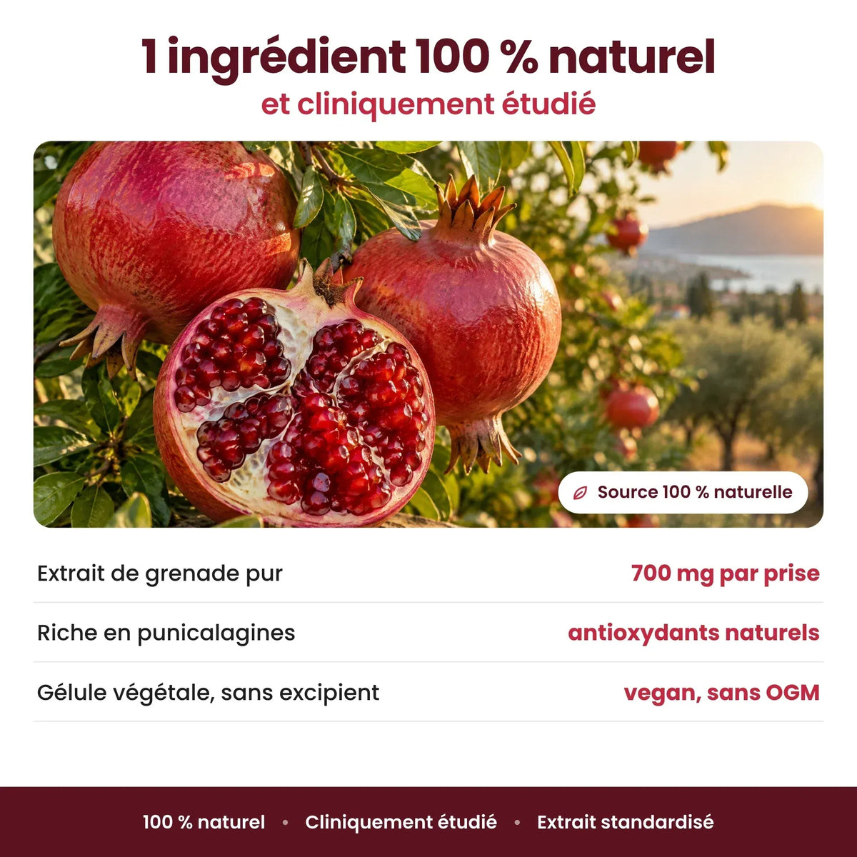 -Gélules de Grenade Superfruit