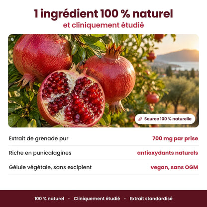-Gélules de Grenade Superfruit